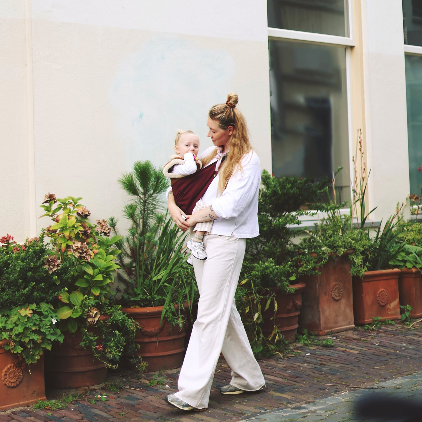 梅洛酒紅-Merlot Carrier